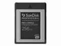 SanDisk - Flash memory card - 256 GB - CFexpress Type B - black