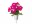 Image 3 Click and Grow Saatgut Pinke Petunie 3er-Pack, Bio: Nein, Blütenfarbe