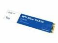 Western Digital WD Blue SA510 WDS100T3B0B - SSD - 1 TB