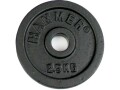 HAMMER Gewichtsscheiben 1 x 2.5 kg, Material: Gusseisen, Sportart