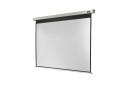 Celexon Rollo-Leinwand Pro 200x150cm 4:3, Leinwandtyp