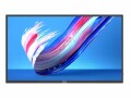 Philips 50" Direct LED 4K Display, powered by An