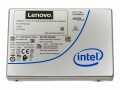 Lenovo ISG ThinkSystem U.2 1.92TB SSD