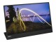 Lenovo ThinkVision M15 Touch, 15.6", FHD