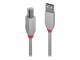 LINDY Anthra Line - USB-Kabel - USB (M) bis