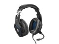 Trust Computer Trust Headset GXT 488 Forze-G PS4 Schwarz, Audiokanäle