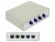 Bild 2 DeLock LAN-Switchbox RJ-45 4 Port, 100Mbps, Anzahl Eingänge: 4