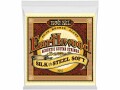 Ernie Ball Gitarrensaiten 2045 Earthwood Bronze ? Silk & Steel