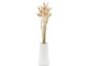 Soli Collection Trockenblumen Lagurus 50-60 cm, Naturfarben, Produkttyp