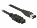 DeLock FireWire-Kabel 400Mbps 9Pin-6Pin 3 m, Datenanschluss