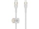 BELKIN BOOST CHARGE - Lightning cable - USB-C male