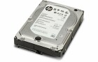HP Inc. HP Harddisk 3DH90AA 3.5" SATA 6 TB, Speicher