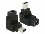 DeLock USB Adapter Mini-B zu Mini-B, Mini-B/Buchse zu Mini-B