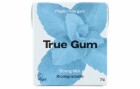 True Gum Kaugummi Starke Minze 21 g, Produkttyp: Zuckerfreier