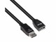Club3D Club 3D - DisplayPort extension cable - DisplayPort (F