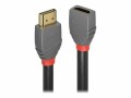 LINDY 2m HDMI extension cable Anthra