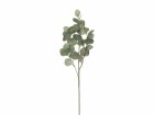 Botanic-Haus Kunstpflanze Eukalyptuszweig 87 cm, Produkttyp: Blume