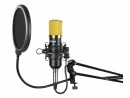 Vonyx Kondensatormikrofon CMS400B Studio-Set, Typ