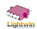 Lightwin LWL-Kupplung LC-LC, Multimode, OM4, Quad, Datenanschluss