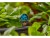 Bild 5 Gardena Sprühdüse 6 in 1 Micro-Drip-System, Bewässerungsart
