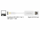 DeLock Netzwerkkarte 65904 1Gbps, USB-C