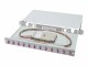 Digitus Professional DN-96331-4 - Fibre-optic splice box - LC