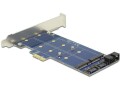 DeLock 2x M.2 NGFF SATA basierend: PCI-Express-x1