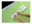 Bild 8 Leitz Handgelenkauflage WOW Grün, Eingabegeräte: Tastatur