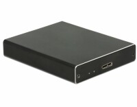 DeLOCK - External Enlosure 2 x M.2 Key B to Superspeed USB
