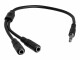 STARTECH .com 3,5mm Klinke Audio Y-Kabel - 4 pol. auf