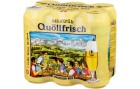 Appenzeller Bier Quöllfrisch naturtrüb Dose 6er Pack, 6x50cl