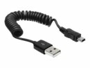 DeLock USB 2.0-Spiralkabel USB A - Mini-USB B