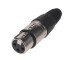 Bemero Stecker BC1001NI-F 3-Pol XLRf