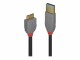 LINDY Anthra Line - USB-Kabel - USB Typ A