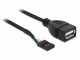 Bild 0 DeLock USB 2.0-Kabel Pinheader - USB A 0.2 m