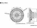 Pioneer 2-Weg Lautsprecher TS-1701I, Tiefe: 4.55 cm, Lautsprecher