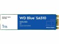 Western Digital WD Blue SA510 WDS100T3B0B - SSD - 1 TB