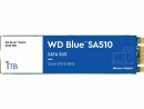 Western Digital 1TB BLUE SSD M.2 SA510 2280 SATA III 6 GB/S  NMS NS INT