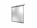 Celexon Deckeinbauleinwand Motor Professional Plus 220x220cm 1:1