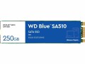 Western Digital SSD WD Blue SA510 M.2 2280 SATA 250