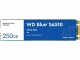 Western Digital 250GB BLUE SSD M.2 SA510 2280 SATA III 6 GB/S  NMS NS INT
