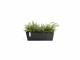 Ecopots Pflanzentopf Bruges 65