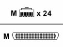 Patton Kabel 6ft, 50 PIN mit 24 RJ45