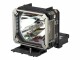 Canon - Lampe de projecteur - pour REALiS SX7,