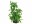 SuperFish Kunstpflanze Dracaena, 25 cm, Einrichtung: Kunstpflanzen, Material: Kunststoff