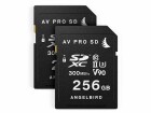 Angelbird Match Pack für Panasonic EVA1 256GB 2er Pack