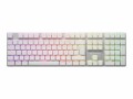 SHARKOON TECHNOLOGIE Sharkoon PureWriter RGB - Tastatur