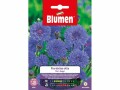 Blumen Saatgut Kornblume gefüllt hoch, Bio: Nein, Blütenfarbe