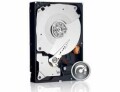 Western Digital WD Black Harddisk WD Black 3.5" SATA 2 TB