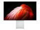 Apple Pro Display XDR - Standard glass